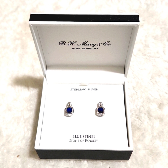 Blue Spinal Sterling Silver Earrings - Picture 5 of 7